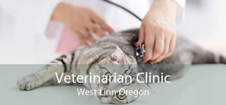 Veterinarian Clinic West Linn Oregon