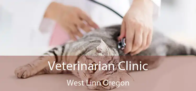 Veterinarian Clinic West Linn Oregon