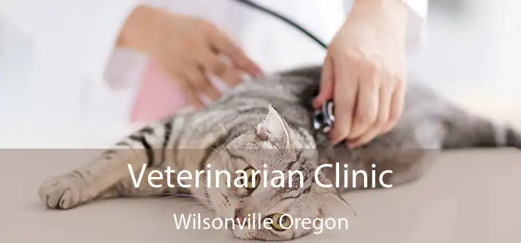 Veterinarian Clinic Wilsonville Oregon